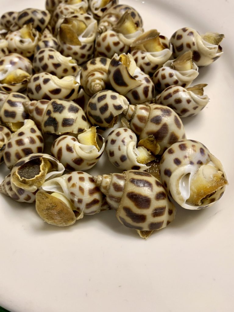 Snails at Lung Tang Seafood Restaurant: we used toothpicks to draw the meat out of the shells.